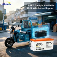 Batterie de fauteuil roulant 24V100AH à technologie LFP avancée, sans entretien, avec charge équilibrée pour scooter de mobilité, certifiée CE RoHS