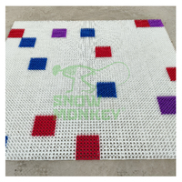 Tapis Ground Tricks, best-seller, pour intérieur et extérieur, piste de ski sèche tout-terrain, glissière tubby, revêtement de sol, tapis de glisse sèche