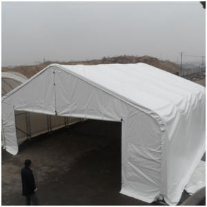 Gran <span class=keywords><strong>campo</strong></span> <span class=keywords><strong>de</strong></span> fútbol refugio TFS tiendas impermeables PVC almacén tienda <span class=keywords><strong>de</strong></span> almacenamiento avión hangar tiendas <span class=keywords><strong>de</strong></span> aluminio - Product Image 6