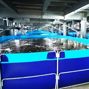 Hot販売Eco-Friendly bioflocフレームタンク魚の養殖ブループラスチック水槽池