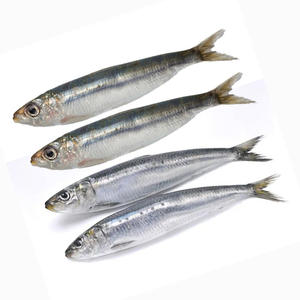 <span class=keywords><strong>Sardines</strong></span> congelées en gros, lots de <span class=keywords><strong>sardines</strong></span> fraîches, <span class=keywords><strong>sardines</strong></span> entières de qualité supérieure, produits de <span class=keywords><strong>la</strong></span> <span class=keywords><strong>mer</strong></span> - Product Image 1