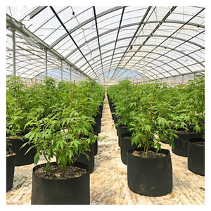 Serre de <span class=keywords><strong>jardin</strong></span> Searea Chine - Product Image 6