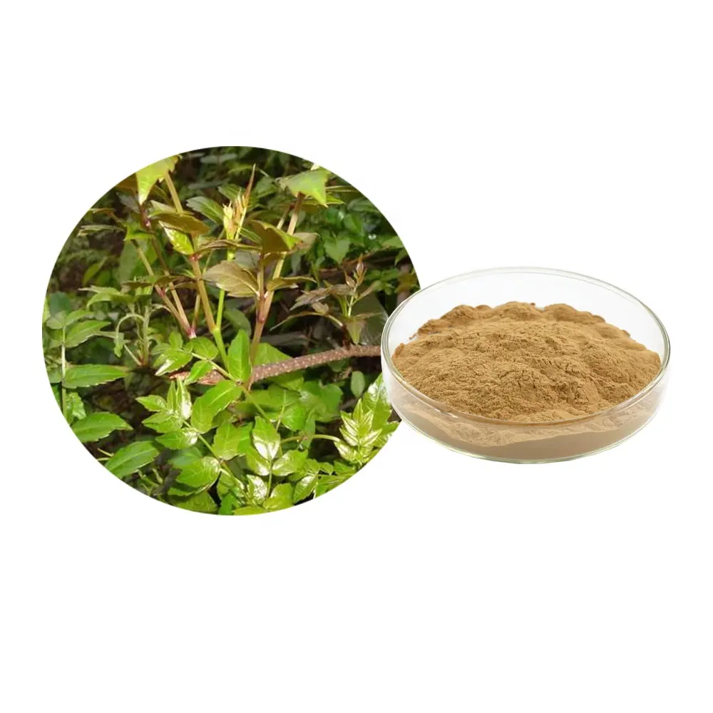 Vine Tea Extract Powder Dihydromyricetin 98%