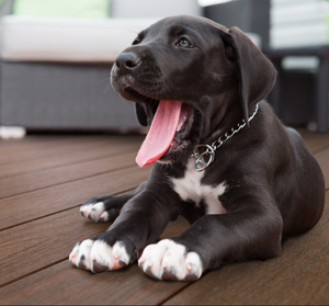 Personalizzato HDF MDF impermeabile a prova di fuoco insonorizzato medio pavimento <span class=keywords><strong>laminato</strong></span> in rilievo - Product Image 6