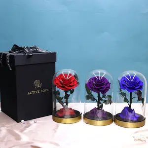 V022 Wholesale Metal Base Glass Cover Gift Box Dried Flowers Eternal Rose Preserved Flowers Christmas Mothers Day Valentines Day