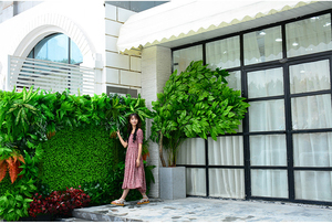 Treo Tường Xanh Nhân Tạo Trang Trí Lá Xanh Cây Nhân Tạo Bên Ngoài - Product Image 6