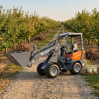 Meilleur prix pour la mini-chargeuse sur pneus KL906 de 600 kg avec une benne de 0,3 m³ et un moteur Yanmar pour les travaux agricoles de petite ferme