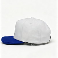 Gorra Deportiva de 5 Paneles con Visera Plana, Bordado de Animales y Caballos, Personalizada de Fábrica BSCI, de Alta Calidad para Hombre