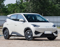 BYD Seagull 2025 Édition Smart Drive Voiture Électrique Autonomie 401-500km Puissance 150-200kW Compacte et Efficace