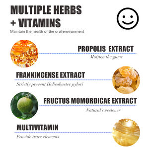 99,99% Anti-Antibakteri 250ml Perawatan Mulut Bebas Fluorida Kapasitas Besar Bebas Alkohol <span class=keywords><strong>Herbal</strong></span> Alami Mint Penyegar Napas Obat Kumur - Product Image 3