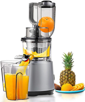 Hoge Kwaliteit Elektrische Juicer Afzuigmachine Multifunctionele Langzaam Kauwen Voor Groenten Fruit Citrus Voor Huishoudelijk Gebruik