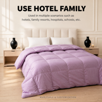 Couette en duvet de canard blanc taille Queen, 850g de garnissage, insert de couette anti-déchirure, hypoallergénique, certifiée RDS, toutes saisons, vente en gros pour hôtels