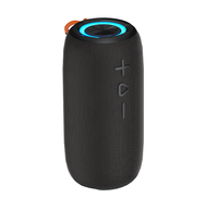 2025 Bluetooth Subwoofer Haut-parleur 20W Haute Qualité Sans Fil Home Party RGB LED Étanche À La Poussière Haut-Parleur