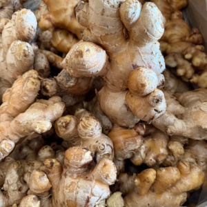 Высококачественные сушеные ломтики свежего имбиря оптом по рыночной цене за тонну от бренда Guangxi Yongjiang - Product Image 3