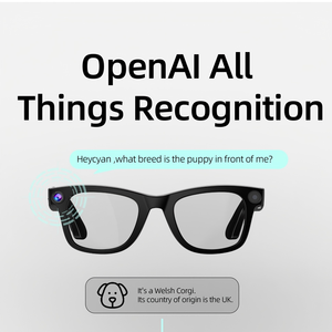 Gafas Inteligentes G300 Similares a Ray-Ban Meta, Cámara HD de 800W, 32GB, Control por Gestos, Traducción por IA, Fotografía, <span class=keywords><strong>Video</strong></span> 4K, IP68, Metal - Product Image 4