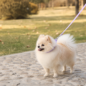 Pet Accessories Collares Para Mascotas <b>Custom</b> Waterproof Pvc Pet <b>Collars</b> Leashes <b>Dog</b> <b>Collar</b> and Leash Set - Product Image 5