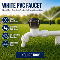 Robinet à poignée en PVC blanc de Chine avec bouton noir pour l'irrigation des jardins, l'aquaculture domestique, vente en gros, raccord de tuyauterie OEM