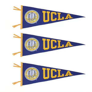 Прямая поставка с завода, водонепроницаемый, на заказ, полноцветная печать, безопасный Вымпел, рекламные флаги, флаг на заказ - Product Image 4