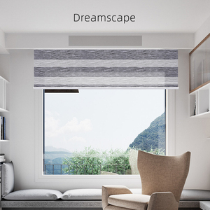 Deyi-cortinas eléctricas inteligentes para decoración del hogar, <span class=keywords><strong>doble</strong></span> capa, transparentes y a rayas, <span class=keywords><strong>con</strong></span> filtro de luz, motorizadas, cebra - Product Image 2