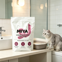 Litière pour chat en bentonite de qualité supérieure, agglomérante, sans poussière, durable, contrôle des odeurs, formule minérale naturelle, non parfumée