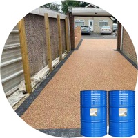 Kit de résine époxy pour allées de jardin allée de gravier collé en résine et pavage de galets de roche Usa