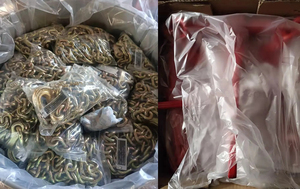 Nhà Máy Bán buôn EN12195-3 G80 nhiệm vụ nặng nề Ratchet tải chất kết dính hợp kim lấy móc với pin Chuỗi Giao thông vận tải tùy chỉnh đóng gói - Product Image 5