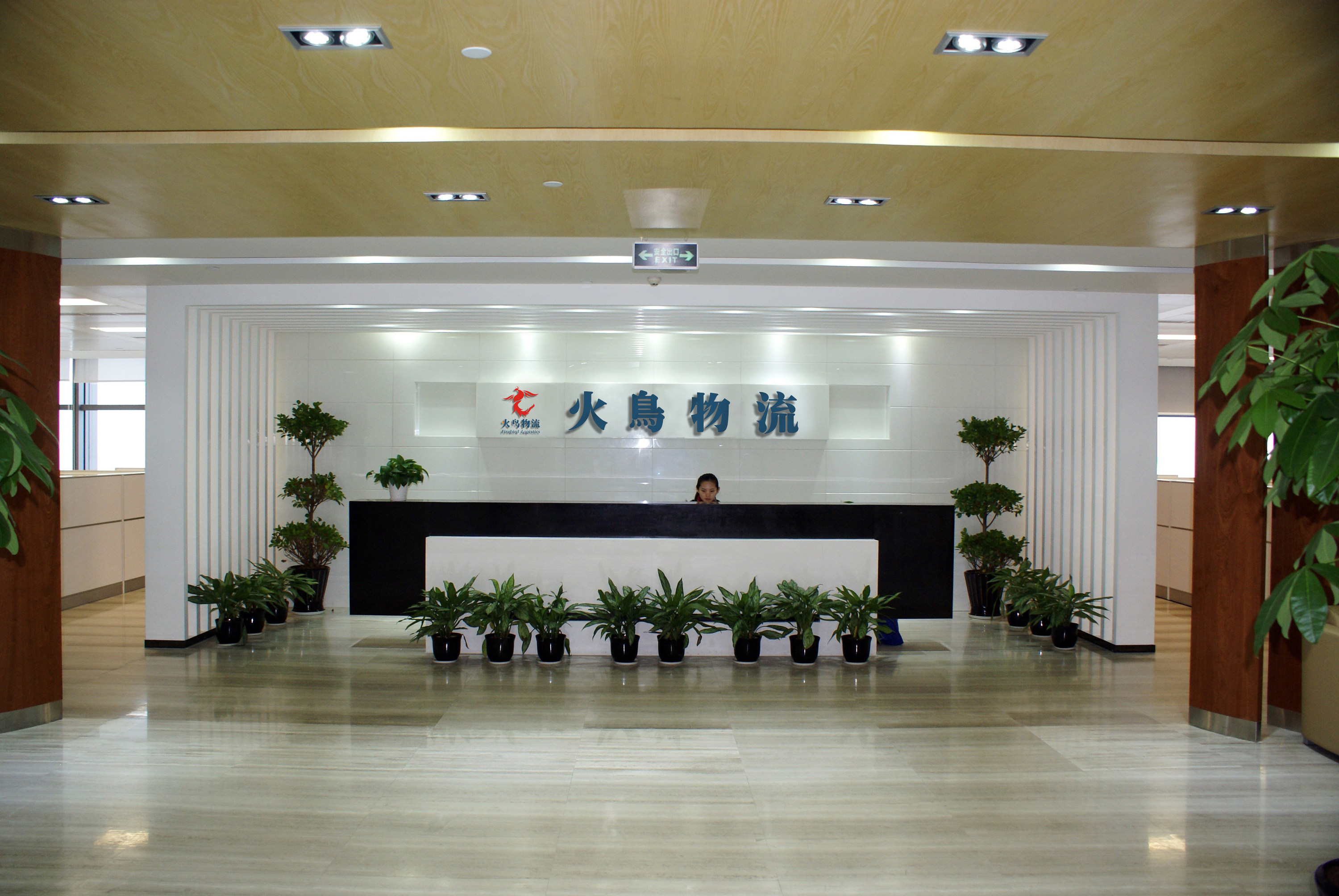 Shenzhen Firebird Logistics Co., Ltd. logo