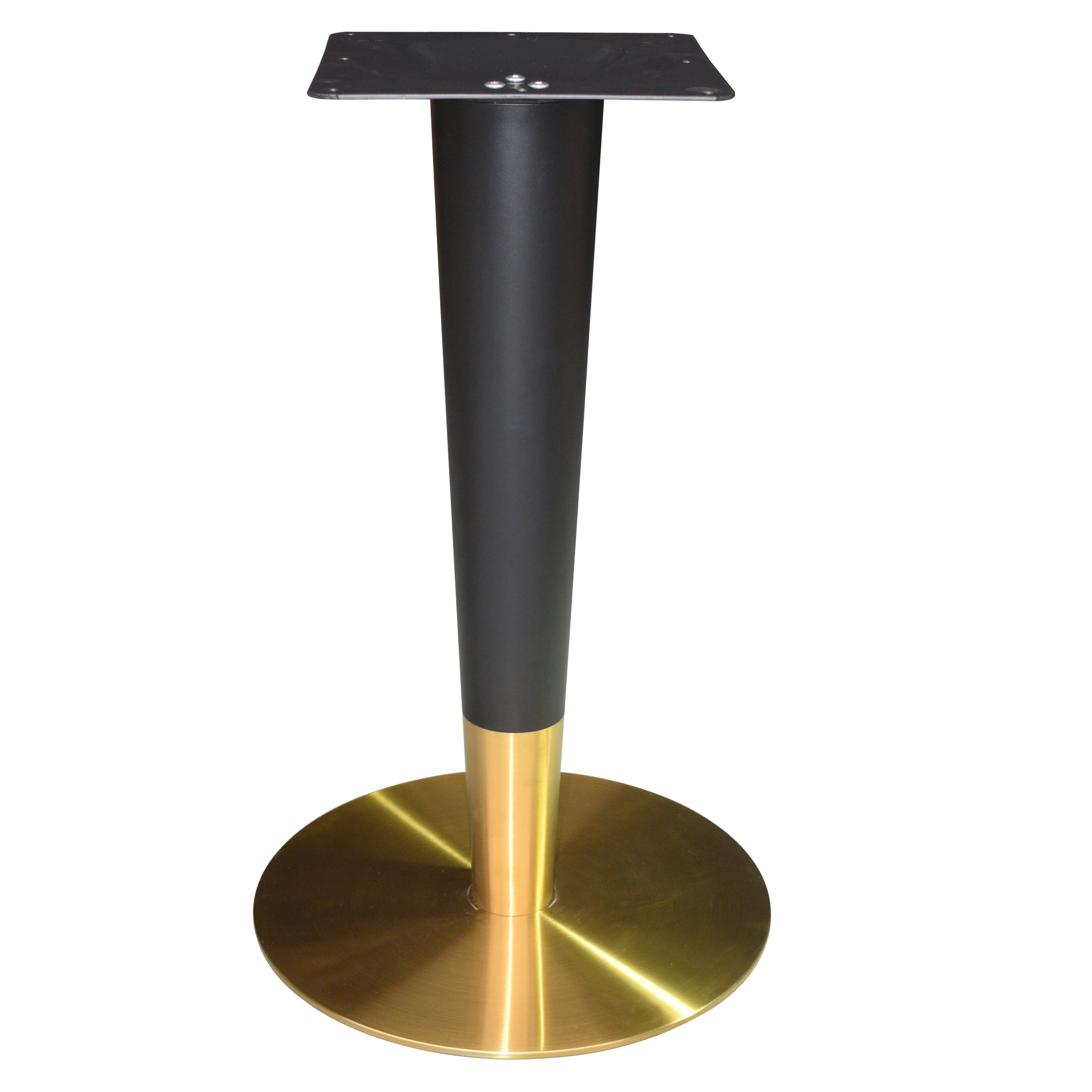 Acier inoxydable plaqué or et noir