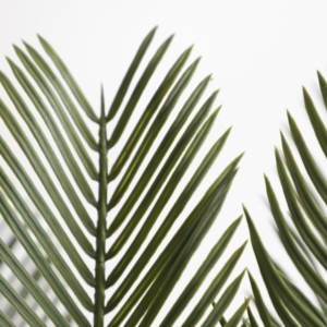 Artificiale piante bonsai Cycas man made in vaso cycad albero per la decorazione domestica - Product Image 3
