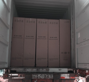 118L mỏng dọc cử<span class=keywords><strong>a</strong></span> kính Kem lưu trữ hiển thị tủ đông LSD-118L - Product Image 5