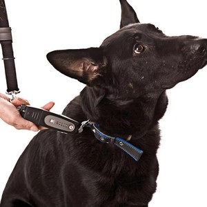Equipo de entrenamiento para perros con control de ladridos al aire libre, repelente ultrasónico de animales, correa para perros - Product Image 1