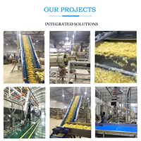 Ligne de Production Industrielle de Chips de Pommes de Terre Fraîches Entièrement Automatique de Haute Qualité 100kg/h 200kg/h