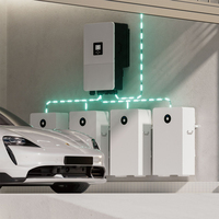 Deye RW-F16 Wand montage Lifepo4 15kw 280a h 300 Ah 314ah Lithium batterie 15kwh 16kwh Deya Power Wall Home ESS Sonnensystem