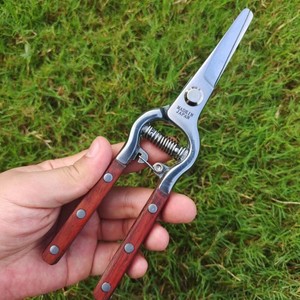 Sécateur de taille Mactek avec poignée en bois de rose et lame en acier inoxydable 20-30 mm pour l'élagage des arbres fruitiers et des jardins - Product Image 4