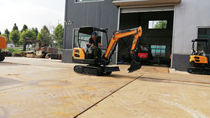 Mini excavadoras hidráulicas, maquinaria de construcción grande, 2 toneladas, en venta - Product Image 2