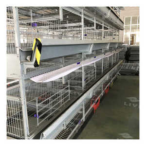 H Type Pullet Battery Cage System <strong>Automatic</strong> Baby Layer Broiler <strong>Chicken</strong> <strong>Brooder</strong> Day Old Chick Battery Pullet Cage - Product Image 3