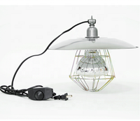 Lampe chauffante agricole en aluminium de qualité supérieure, performance stable, montage facile, pour l'élevage de volailles, de porcs et d'animaux.