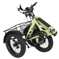 Joyebikes 20 pouces avant 500w Tricycle électrique à gros pneus trois roues Tricycle électrique de passager pour adultes famille e-trike