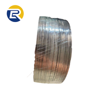 Correa de Acero Inoxidable 201/304 para Refuerzo y Decoración de Concreto, Alta Tenacidad, Anticorrosión, Venta al Por Mayor de Fábrica