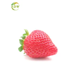 Vente en gros de poudre de fraise séchée à froid, échantillon gratuit de poudre de jus de fraise