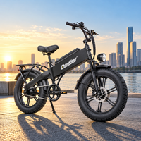 Vélo cargo électrique Chamrider 48V 32Ah, pneus larges de 20 pouces, couple élevé de 80 Nm, porte-bagages arrière, service de livraison professionnel D 32