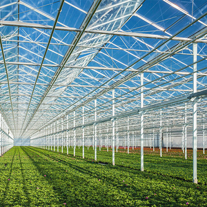 Structure de serre en verre multi-chapelles clé en main, résistante aux intempéries, pour l'agriculture commerciale et la culture de cultures, prix usine - Product Image 2