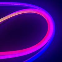 Bandes lumineuses LED néon 10*23mm 5050RGB pleine couleur étanches 60LED/M 12V/24V basse tension décoration d'ingénierie bande lumineuse flexible