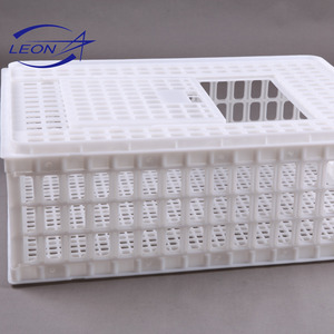 <span class=keywords><strong>Leon</strong></span>, superventas, jaula de plástico para pollos pequeños/niños - Product Image 1