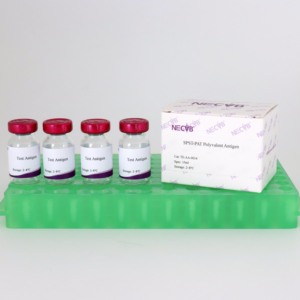 مستضد متعدد التكافؤ جاهز للاستخدام لاختبار اللوح السريع للتيفوئيد والبوللوروم (حاصل على شهادة ISO) - Product Image 1