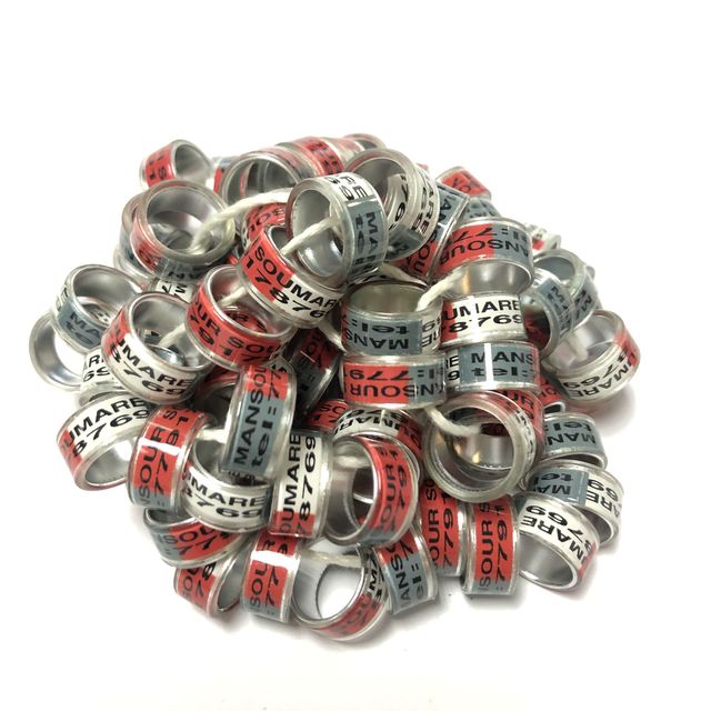 8mm/9mm/10mm/11mm/12mm Plastic Pigeon Leg Ring Poultry Pigeon Bird Chicks Duck Parrot for Identification Band PH-128
