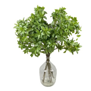 CM-TH1312 de haute qualité nouvelles feuilles de <span class=keywords><strong>plantes</strong></span> <span class=keywords><strong>Pieris</strong></span> vertes en Latex Real Touch pour la décoration intérieure - Product Image 6