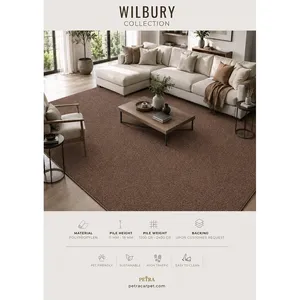 พรมปูพื้นโพลีโพรพิลีนสีเบจเข้ม Petra Wilbury ความหนา 11-18 มม. เหมาะสำหรับสัตว์เลี้ยง ทนทานต่อการใช้งานหนัก - Product Image 1