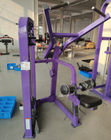 Machine de gymnastique intérieure commerciale professionnelle Pin Loaded Back Extension Musculation réglable pour la salle de sport