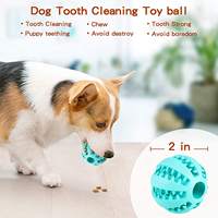 Balle de nettoyage des dents en caoutchouc naturel de 5cm balle d'élasticité interactive extra résistante pour jouets pour chiens de compagnie jouets à mâcher pour chiens